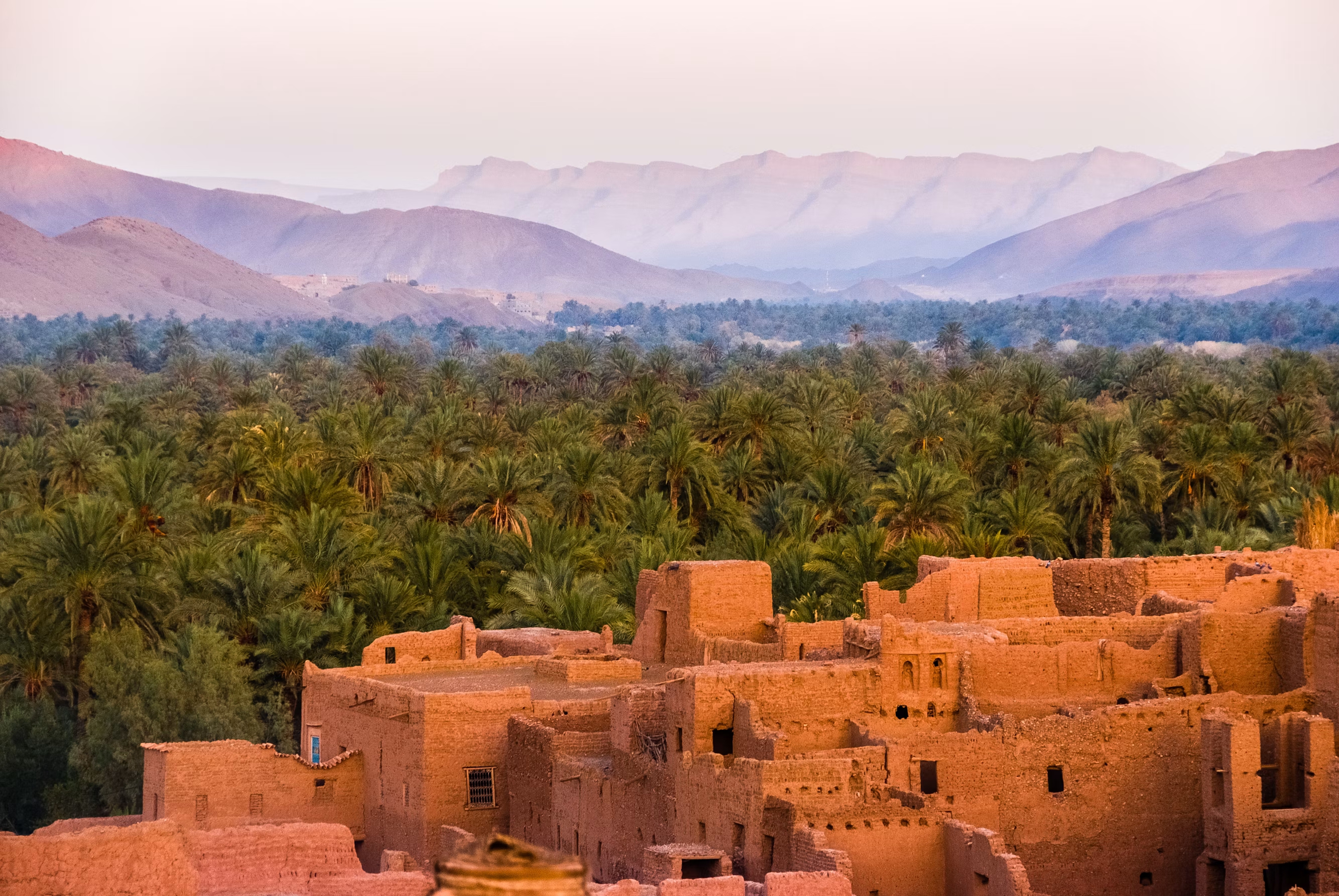 Kasbah de barro y palmeral con el Atlas al atardecer