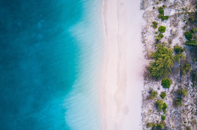 Caribe