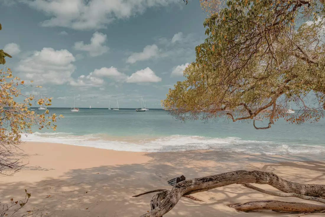 Catorce noches, de San Juan a Barbados, crucero de Explora Journeys por el Caribe
